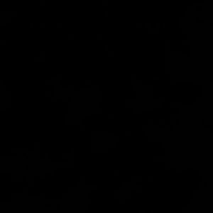 Meet your Posher, Dulce